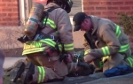 Vatrogasci spasavaju psa
