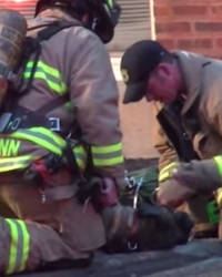 Vatrogasci spasavaju psa