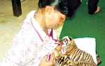 Supruga jednog  od radnika zoo-vrta  preuzela brigu o  mladima