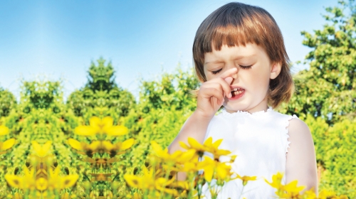Klinička  istraživanja  pokazuju jednaku efikasnost homeopatskih i standardnih lekova protiv alergije