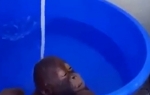 Majmunče uživa u vodi
