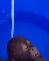 Majmunče uživa u vodi