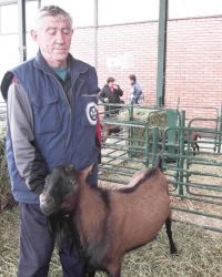 Radoslav Marinković