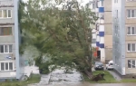 Uragan čupao drveće i nosio krovove