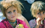 Plavokosi:  Jazidi su genetski  jedinstveni jer  se ne mešaju  sa drugima