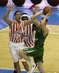 KK Crvena zvezda