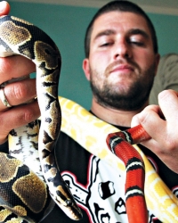 Albino piton, boa, lažna koralna zmija i kraljevski piton: Darko sa ljubimcima