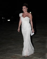 svetlana ceca raznatovic