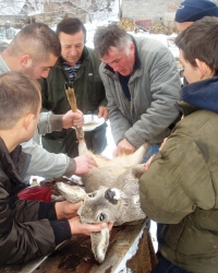 Humanitarci  bez straha: Meštani Devića