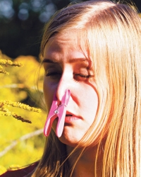 Polen  ambrozije izaziva  alergiju kod 10 odsto  ljudi
