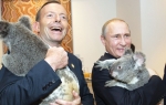 Podetinjili sa koalama: Putin i Abot