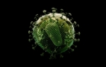 Virus HIV | Foto: Profimedia