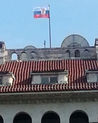 dvor karađorđevića