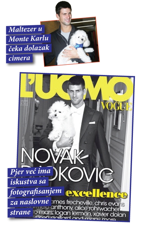 Novak Đoković i maltezer