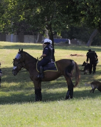 Policija na derbiju