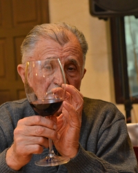 Budimir Vino