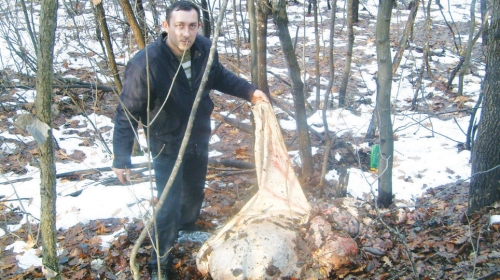 Đorđe Marinković  (32) pored utrobe bika u šumarku na kilometar od štale