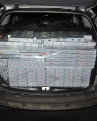 Zaplenjene cigarete