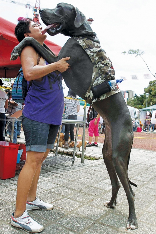Poljubac žene i njenog psa u San Hoseu