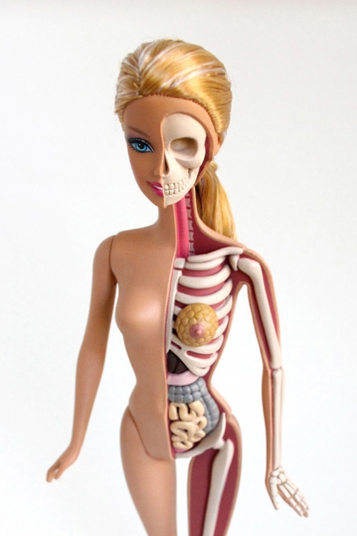 Anatomska Barbi