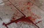krv u Bolonji