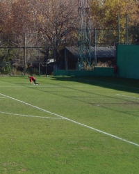 Nikola Maksimović, Crvena Zvezda