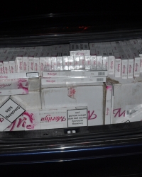 Zaplenjene cigarete, Niš