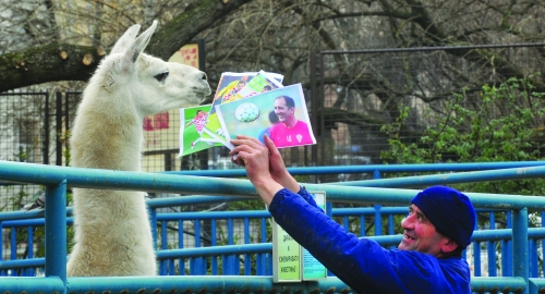 Lama Đorđe / Foto: Oliver Bunić | Foto: 