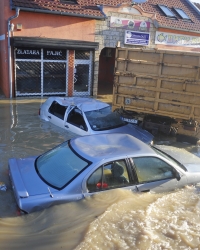 Poplave u Obrenovcu Foto: Dušan Milenković