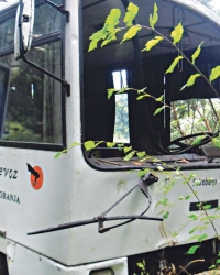 Autobus