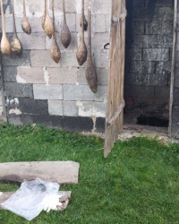 Horor u Čačku / Foto: V. Nikitović