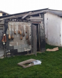 Horor u Čačku / Foto: V. Nikitović