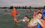 Plivanje za Časni krst Grocka / Foto: Vladan Živančević