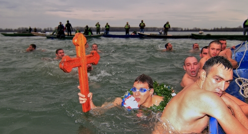 Plivanje za Časni krst Grocka / Foto: Vladan Živančević | Foto: 