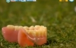 Zubi na travi