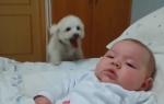 Pas pokušava da se popne na bebin krevet