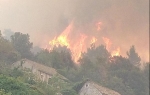 Požar na Pelješcu