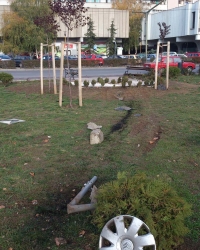 česma na trgu patrijarha pavla