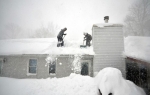 Snežna oluja, Bafalo Foto: Profimedia