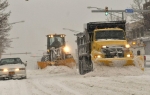 Snežna oluja, Bafalo Foto: Profimedia