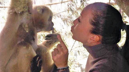 Ostala u Melburnu kako bi posetila zoološki vrt: Džej Džej