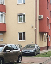 Dvorište puno delova tela i krvi