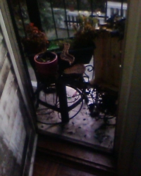 Bačen je molotovljev koktel na kuću Biljane Vujović!