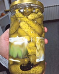 Krastavci sa insektima!