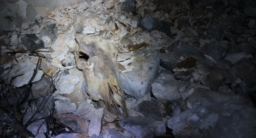 Ljudski skeleti u ledenoj pećini | Foto: 