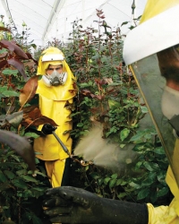 Srbija dozvoljava  registraciju pesticida  sa minimumom  dokumentacije