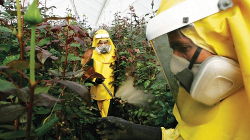 Srbija dozvoljava  registraciju pesticida  sa minimumom  dokumentacije