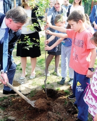 Posadimo drvo!: 29 odsto Srbije  je pod šumom, a poželjno je 40 odsto