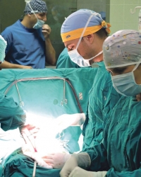 Oko 1.000 ljudi u Srbiji trenutno čeka neki organ