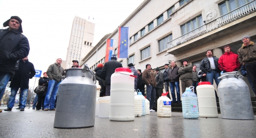 Prosipanje mleka pred zgradom Vlade Vojvodine | Foto: 